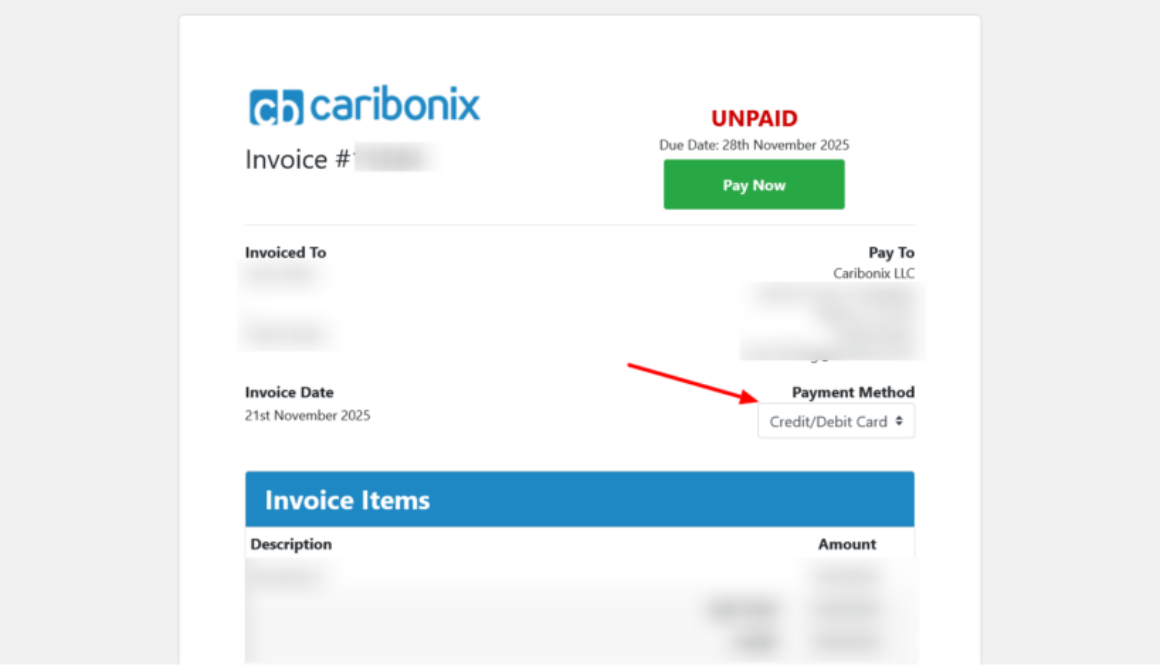 How to Make a Credit/Debit Card Payment